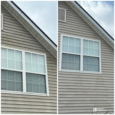 House washing helps to remove mold mildew and algae