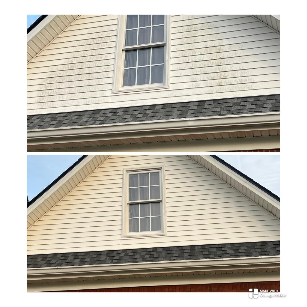House Wash in Williamson, GA